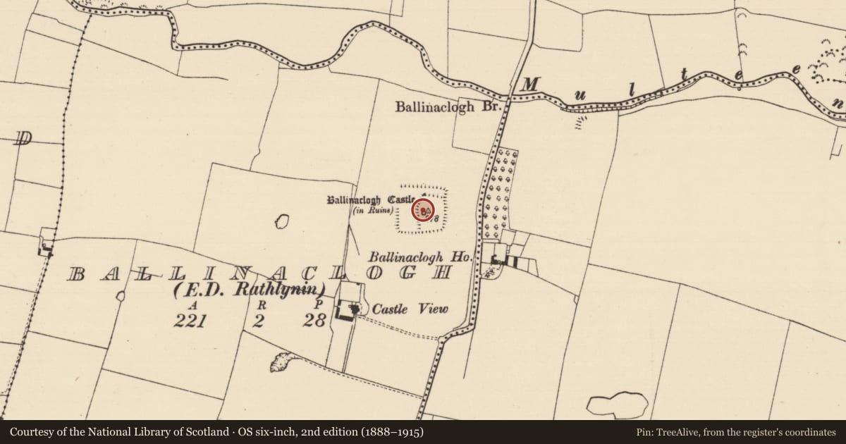 Ordnance Survey six-inch map, 2nd edition (1888–1915) covering the location of Bawn, Ballinaclogh (Rathlynin Par.), County Tipperary South, with a pin at the register's coordinates