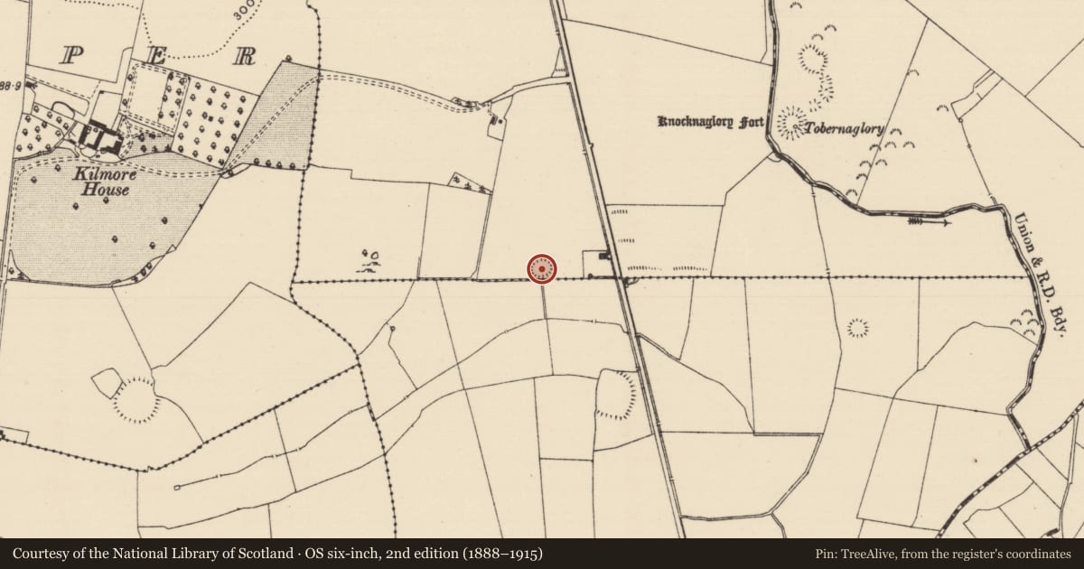 Ordnance Survey six-inch map, 2nd edition (1888–1915) covering the location of Enclosure, Ballywalter (Oughterleague Par.), Ballinamona (Oughterleague Par.), County Tipperary South, with a pin at the register's coordinates