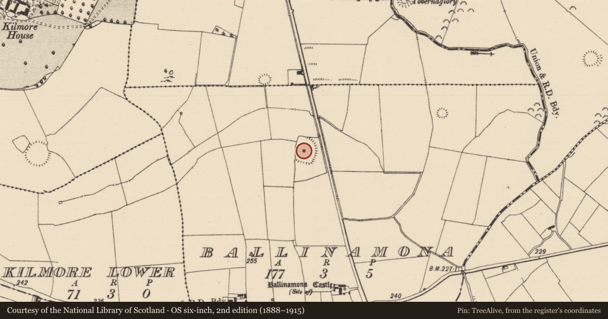 Ordnance Survey six-inch map, 2nd edition (1888–1915) covering the location of Enclosure, Ballinamona (Oughterleague Par.), County Tipperary South, with a pin at the register's coordinates