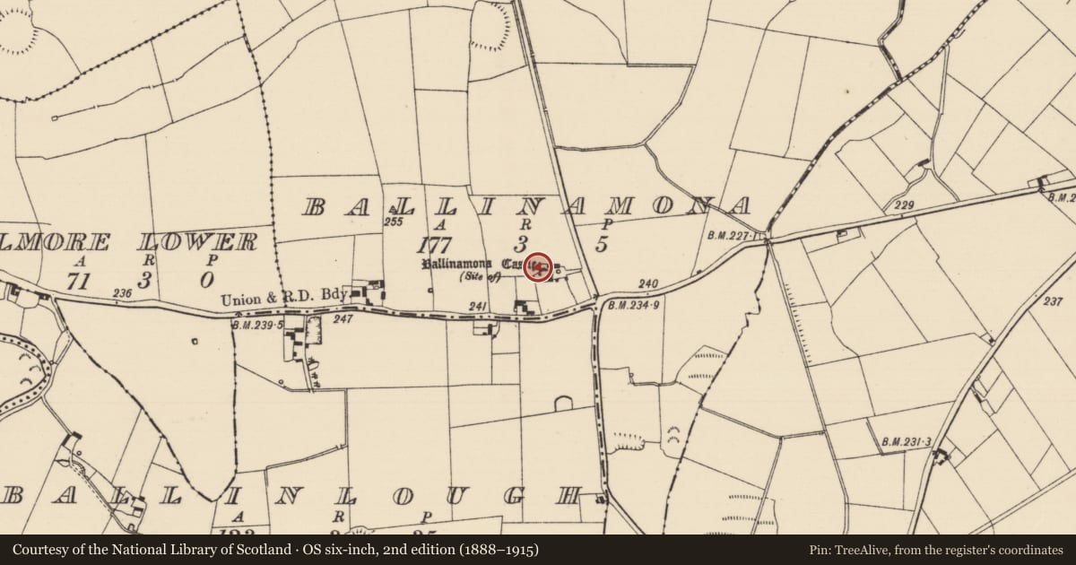 Ordnance Survey six-inch map, 2nd edition (1888–1915) covering the location of Castle - tower house, Ballinamona (Oughterleague Par.), County Tipperary South, with a pin at the register's coordinates