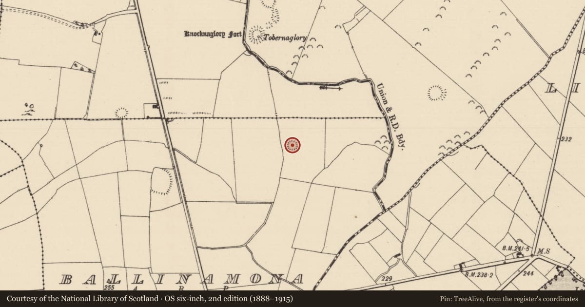 Ordnance Survey six-inch map, 2nd edition (1888–1915) covering the location of Enclosure, Ballinamona (Oughterleague Par.), County Tipperary South, with a pin at the register's coordinates
