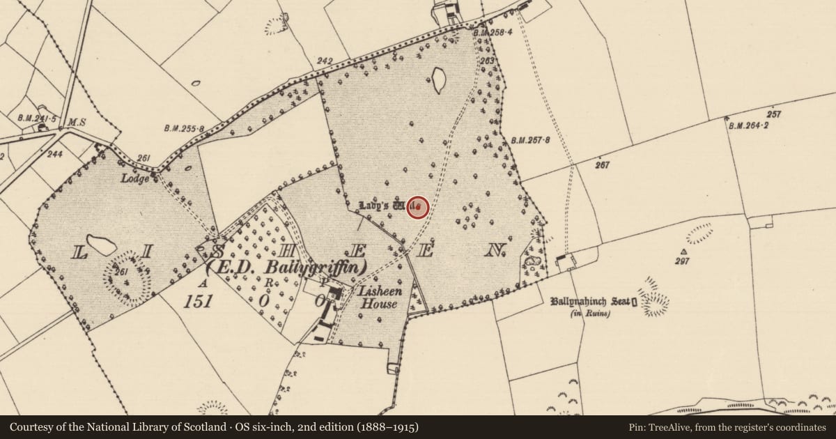Ordnance Survey six-inch map, 2nd edition (1888–1915) covering the location of Ritual site - holy well, Lisheen (Ballygriffin Par.), County Tipperary South, with a pin at the register's coordinates