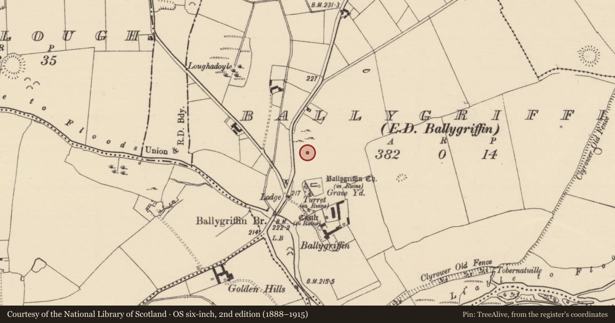 Ordnance Survey six-inch map, 2nd edition (1888–1915) covering the location of Settlement cluster, Ballygriffin (Ballygriffin Par.), County Tipperary South, with a pin at the register's coordinates