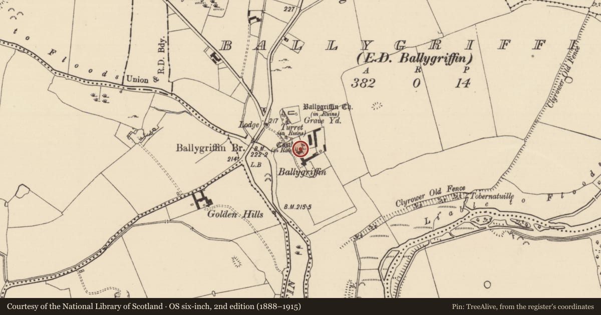 Ordnance Survey six-inch map, 2nd edition (1888–1915) covering the location of Bawn, Ballygriffin (Ballygriffin Par.), County Tipperary South, with a pin at the register's coordinates