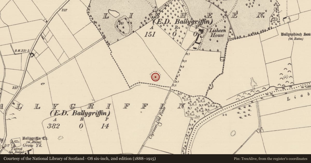 Ordnance Survey six-inch map, 2nd edition (1888–1915) covering the location of Enclosure, Lisheen (Ballygriffin Par.), County Tipperary South, with a pin at the register's coordinates