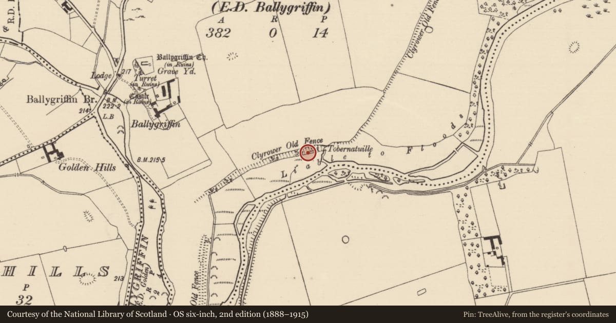 Ordnance Survey six-inch map, 2nd edition (1888–1915) covering the location of Linear earthwork, Ballygriffin (Ballygriffin Par.), Lisheen (Ballygriffin Par.), County Tipperary South, with a pin at the register's coordinates