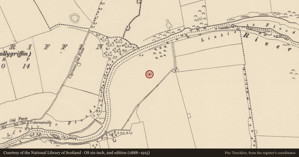 Ordnance Survey six-inch map, 2nd edition (1888–1915) covering the location of Moated site, Mantlehill Great, County Tipperary South, with a pin at the register's coordinates