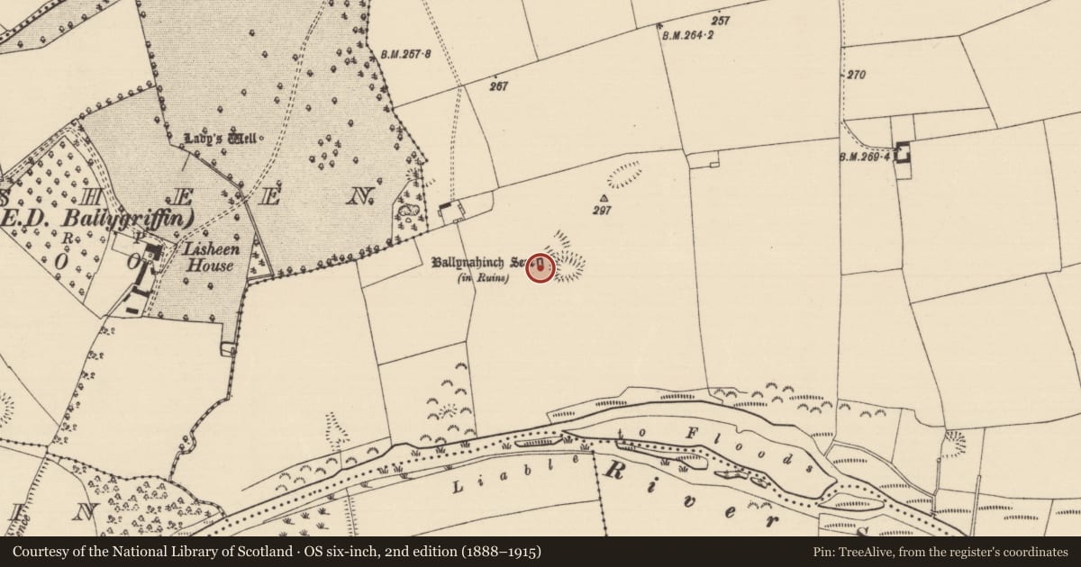 Ordnance Survey six-inch map, 2nd edition (1888–1915) covering the location of House - indeterminate date, Ballynahinch (Ballygriffin Par.), County Tipperary South, with a pin at the register's coordinates
