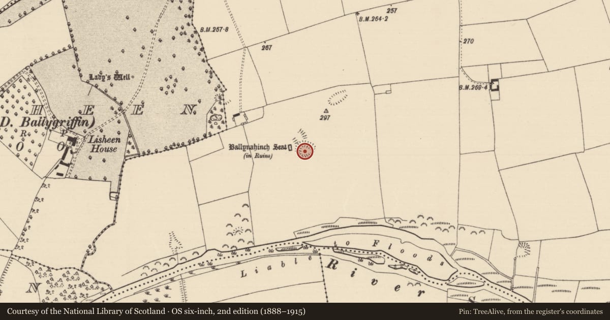 Ordnance Survey six-inch map, 2nd edition (1888–1915) covering the location of Enclosure, Ballynahinch (Ballygriffin Par.), County Tipperary South, with a pin at the register's coordinates