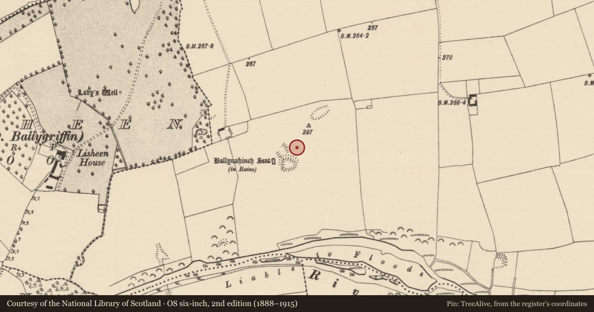 Ordnance Survey six-inch map, 2nd edition (1888–1915) covering the location of Field system, Ballynahinch (Ballygriffin Par.), County Tipperary South, with a pin at the register's coordinates