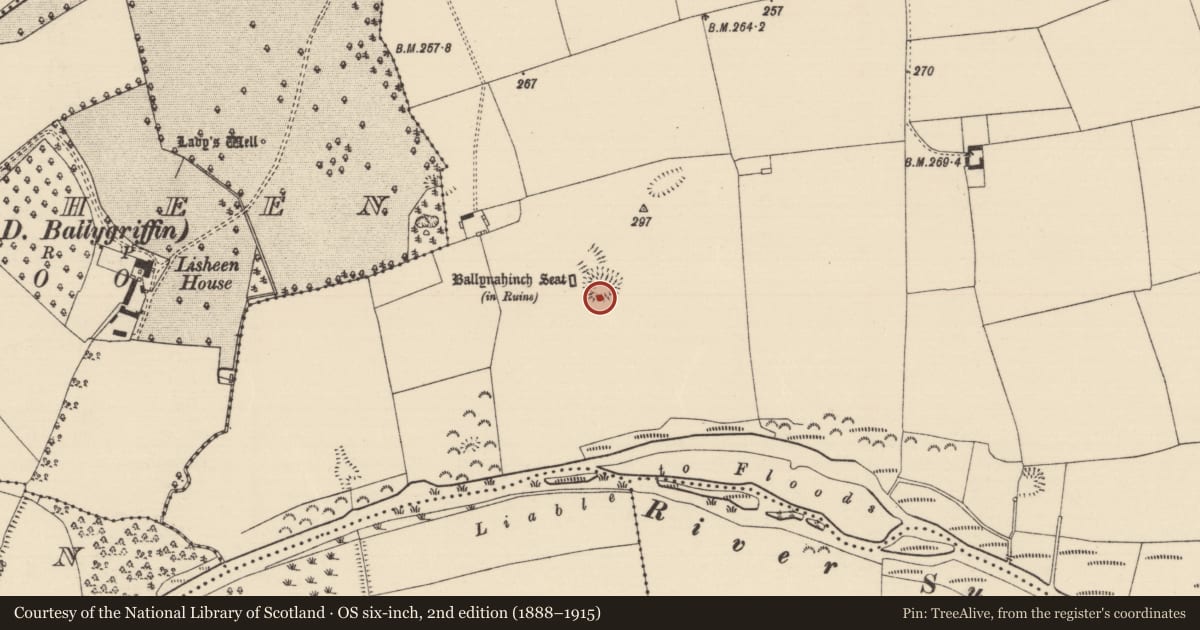 Ordnance Survey six-inch map, 2nd edition (1888–1915) covering the location of Building, Ballynahinch (Ballygriffin Par.), County Tipperary South, with a pin at the register's coordinates