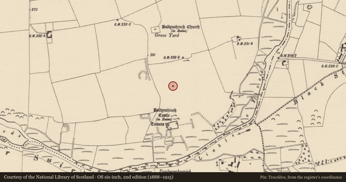 Ordnance Survey six-inch map, 2nd edition (1888–1915) covering the location of Settlement cluster, Ballynahinch (Ballygriffin Par.), County Tipperary South, with a pin at the register's coordinates