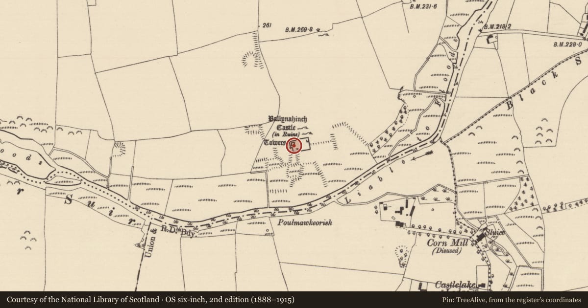 Ordnance Survey six-inch map, 2nd edition (1888–1915) covering the location of Castle - tower house, Ballynahinch (Ballygriffin Par.), County Tipperary South, with a pin at the register's coordinates