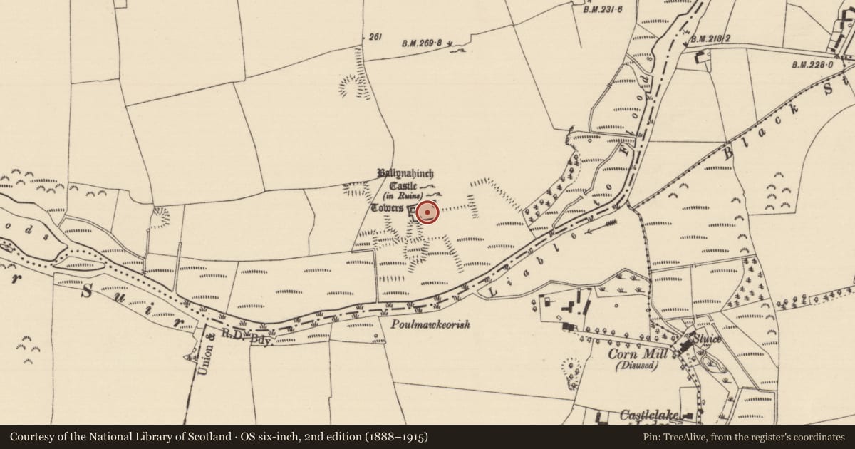 Ordnance Survey six-inch map, 2nd edition (1888–1915) covering the location of Bawn, Ballynahinch (Ballygriffin Par.), County Tipperary South, with a pin at the register's coordinates