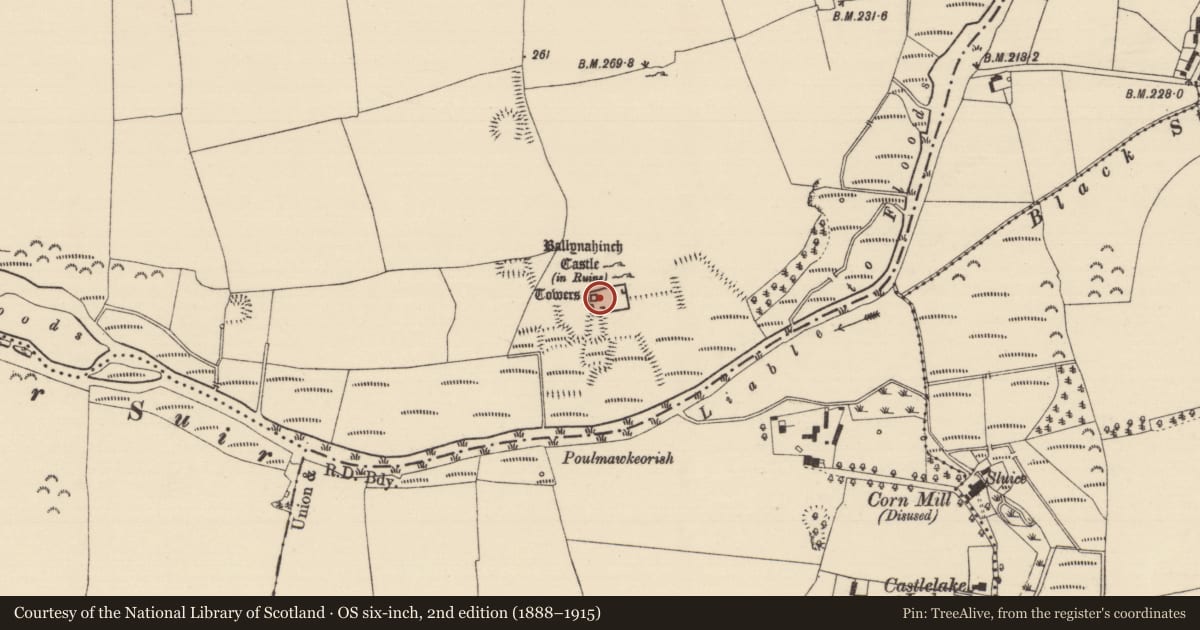 Ordnance Survey six-inch map, 2nd edition (1888–1915) covering the location of Sheela-na-gig, Ballynahinch (Ballygriffin Par.), County Tipperary South, with a pin at the register's coordinates