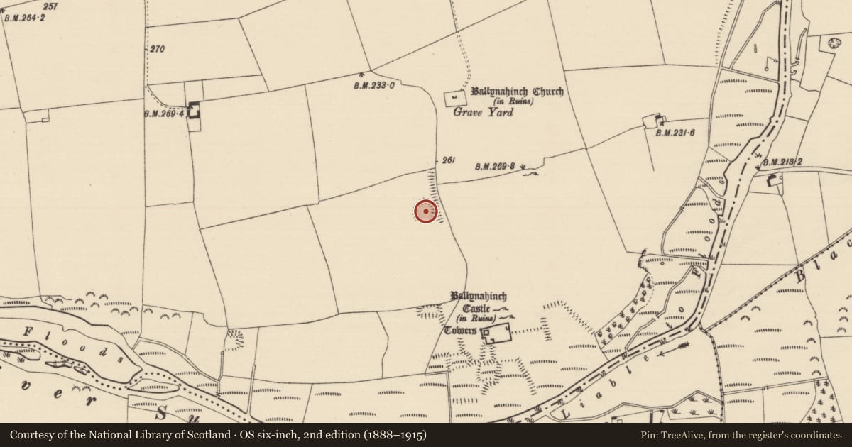 Ordnance Survey six-inch map, 2nd edition (1888–1915) covering the location of Enclosure, Ballynahinch (Ballygriffin Par.), County Tipperary South, with a pin at the register's coordinates