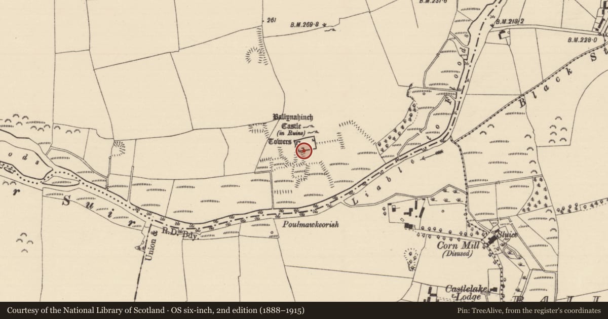Ordnance Survey six-inch map, 2nd edition (1888–1915) covering the location of Building, Ballynahinch (Ballygriffin Par.), County Tipperary South, with a pin at the register's coordinates