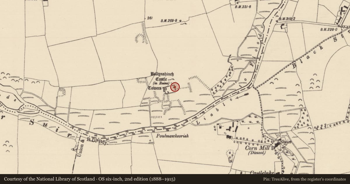 Ordnance Survey six-inch map, 2nd edition (1888–1915) covering the location of Building, Ballynahinch (Ballygriffin Par.), County Tipperary South, with a pin at the register's coordinates