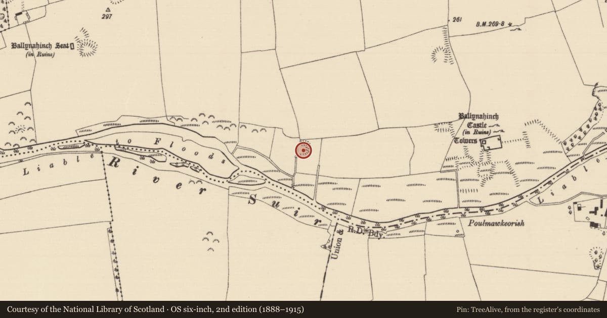 Ordnance Survey six-inch map, 2nd edition (1888–1915) covering the location of Moated site, Ballynahinch (Ballygriffin Par.), County Tipperary South, with a pin at the register's coordinates