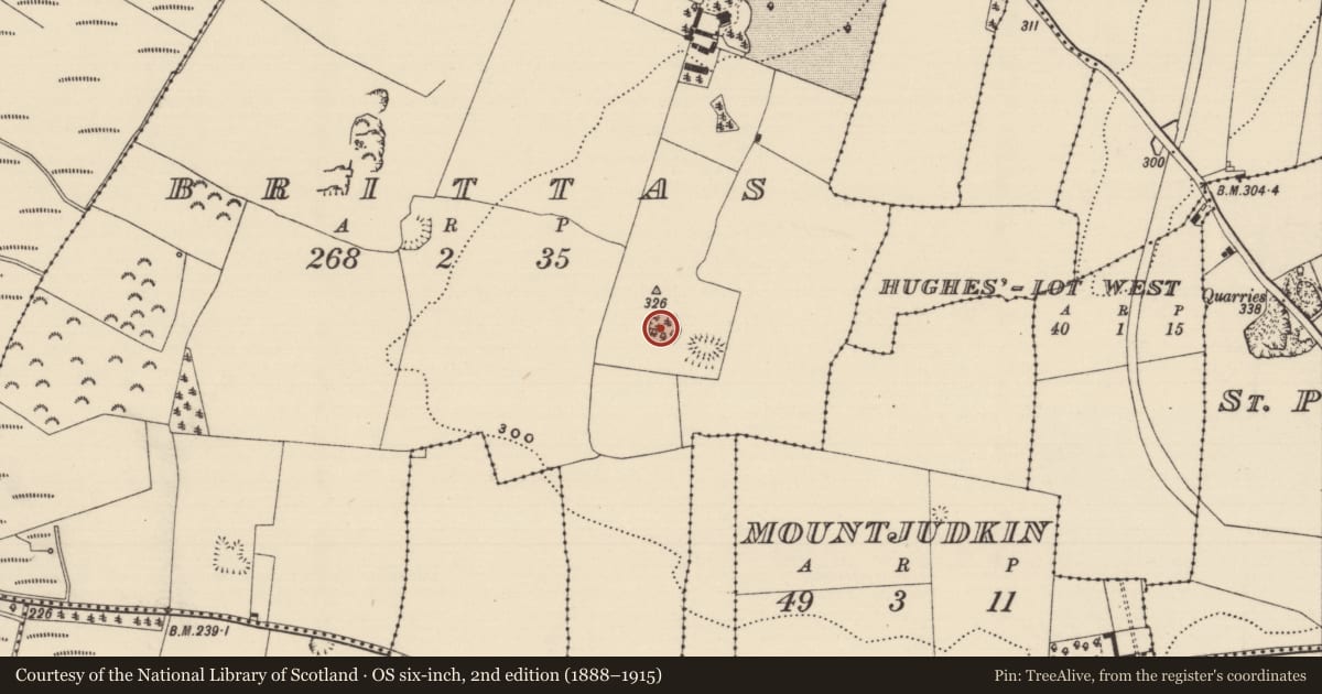 Ordnance Survey six-inch map, 2nd edition (1888–1915) covering the location of Ringfort - rath, Brittas (St. Patricksrock Par.), County Tipperary South, with a pin at the register's coordinates