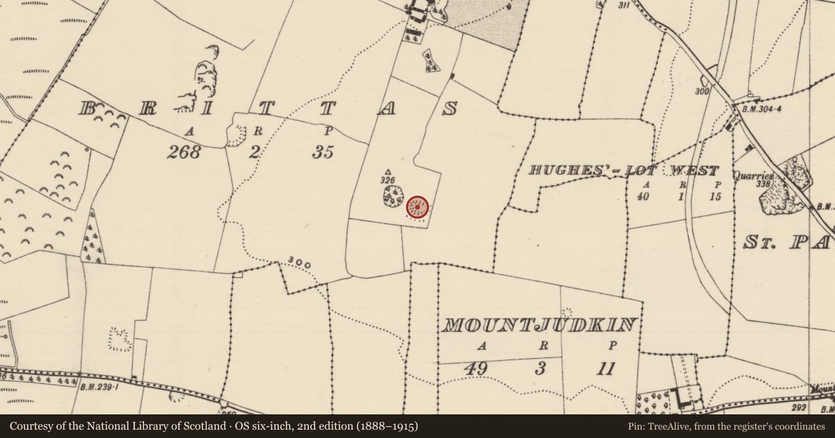 Ordnance Survey six-inch map, 2nd edition (1888–1915) covering the location of Ringfort - rath, Brittas (St. Patricksrock Par.), County Tipperary South, with a pin at the register's coordinates