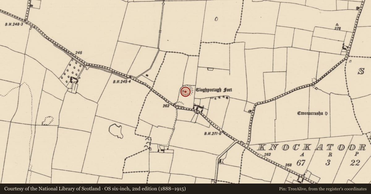 Ordnance Survey six-inch map, 2nd edition (1888–1915) covering the location of Enclosure, Ballinlina, County Tipperary South, with a pin at the register's coordinates