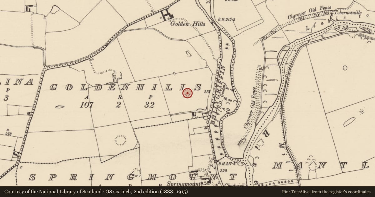 Ordnance Survey six-inch map, 2nd edition (1888–1915) covering the location of Enclosure, Goldenhills, County Tipperary South, with a pin at the register's coordinates