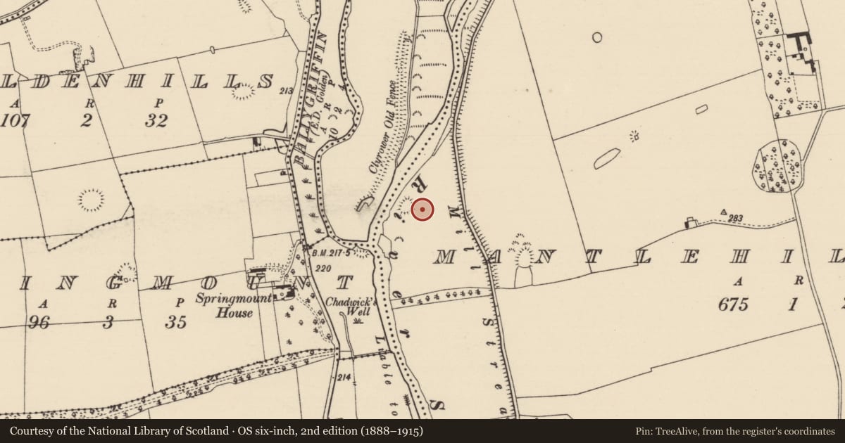 Ordnance Survey six-inch map, 2nd edition (1888–1915) covering the location of Enclosure - large enclosure, Mantlehill Great, County Tipperary South, with a pin at the register's coordinates