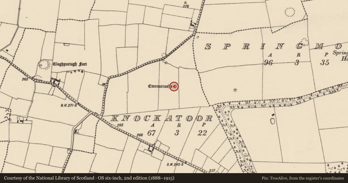Ordnance Survey six-inch map, 2nd edition (1888–1915) covering the location of Cross, Knockatoor, County Tipperary South, with a pin at the register's coordinates