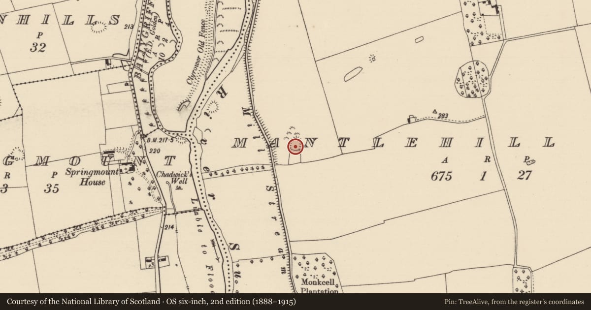 Ordnance Survey six-inch map, 2nd edition (1888–1915) covering the location of Enclosure, Mantlehill Great, County Tipperary South, with a pin at the register's coordinates