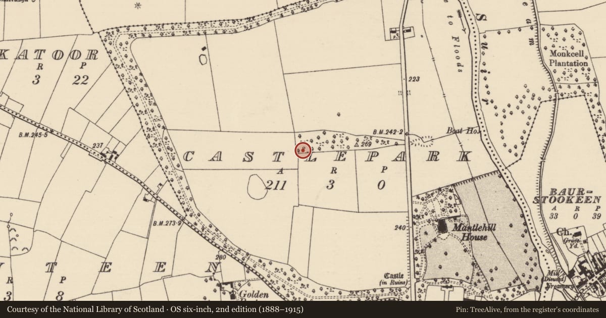 Ordnance Survey six-inch map, 2nd edition (1888–1915) covering the location of Standing stone, Castlepark, County Tipperary South, with a pin at the register's coordinates