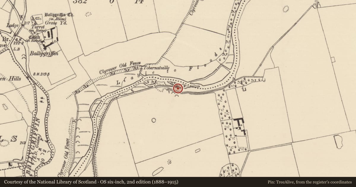 Ordnance Survey six-inch map, 2nd edition (1888–1915) covering the location of Weir - fish, Ballygriffin (Ballygriffin Par.), Mantlehill Great, County Tipperary South, with a pin at the register's coordinates
