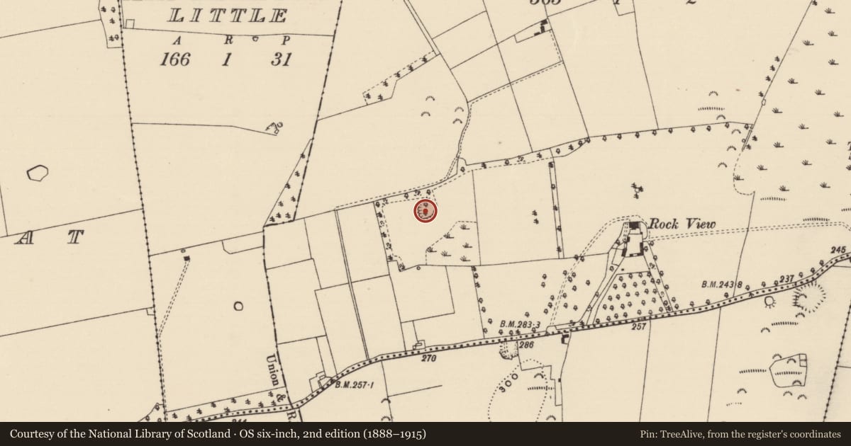 Ordnance Survey six-inch map, 2nd edition (1888–1915) covering the location of Enclosure, Castlelake, County Tipperary South, with a pin at the register's coordinates