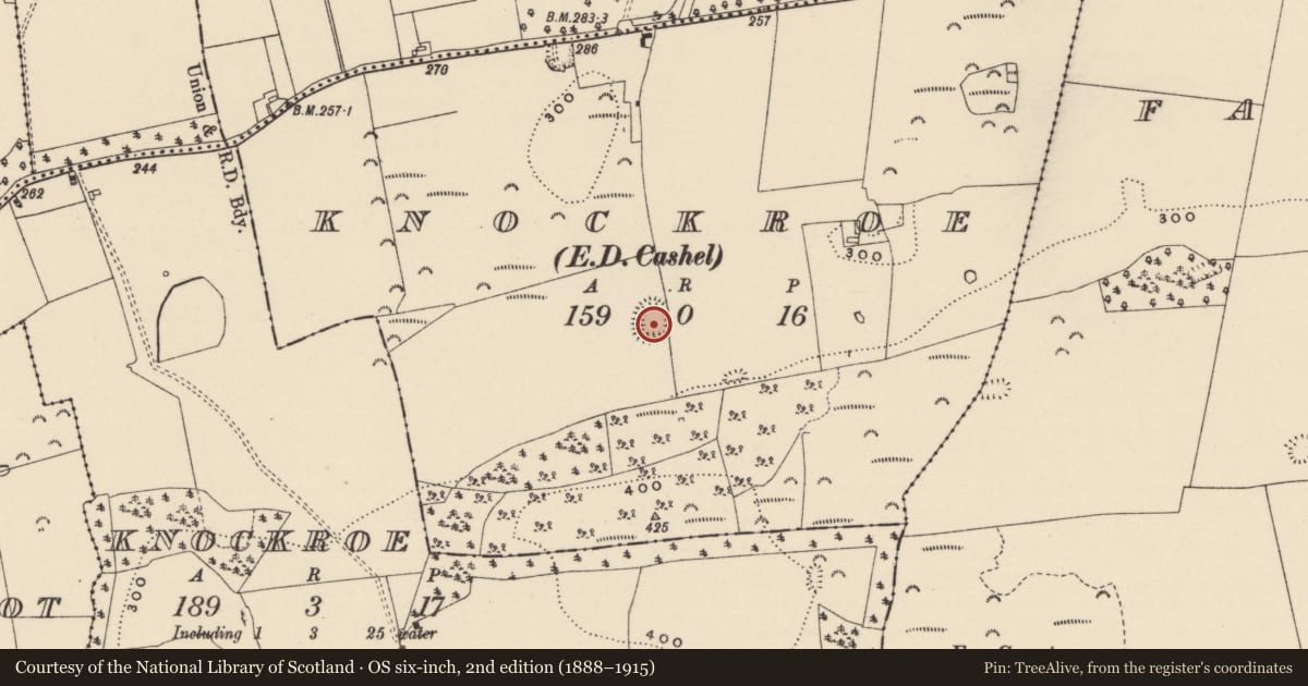 Ordnance Survey six-inch map, 2nd edition (1888–1915) covering the location of Enclosure, Knockroe (Middlethird By., Relickmurray & Athassel Par.), County Tipperary South, with a pin at the register's coordinates