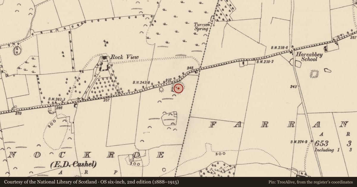 Ordnance Survey six-inch map, 2nd edition (1888–1915) covering the location of Moated site, Knockroe (Middlethird By., Relickmurray & Athassel Par.), County Tipperary South, with a pin at the register's coordinates