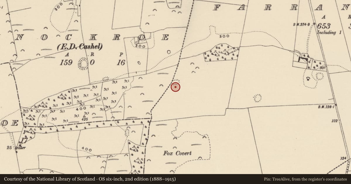 Ordnance Survey six-inch map, 2nd edition (1888–1915) covering the location of Enclosure, Farranamanagh, County Tipperary South, with a pin at the register's coordinates