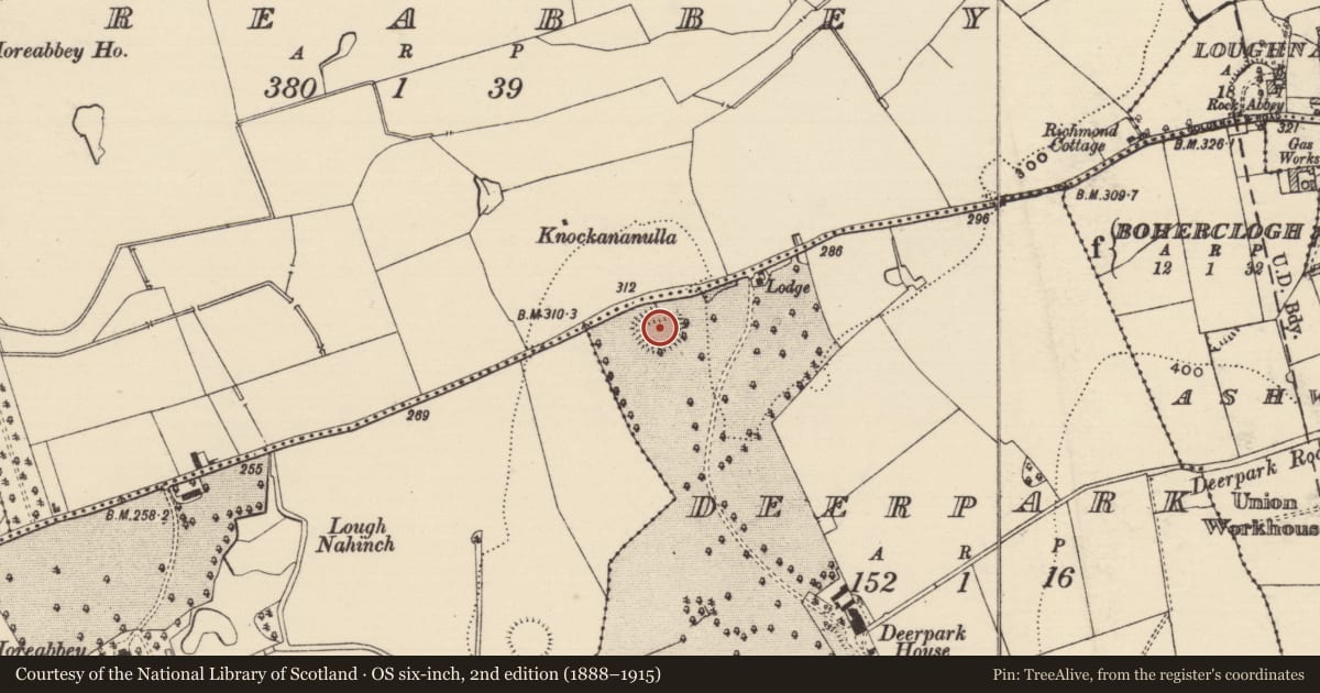 Ordnance Survey six-inch map, 2nd edition (1888–1915) covering the location of Ringfort - rath, Deerpark (Horeabbey Par.), County Tipperary South, with a pin at the register's coordinates