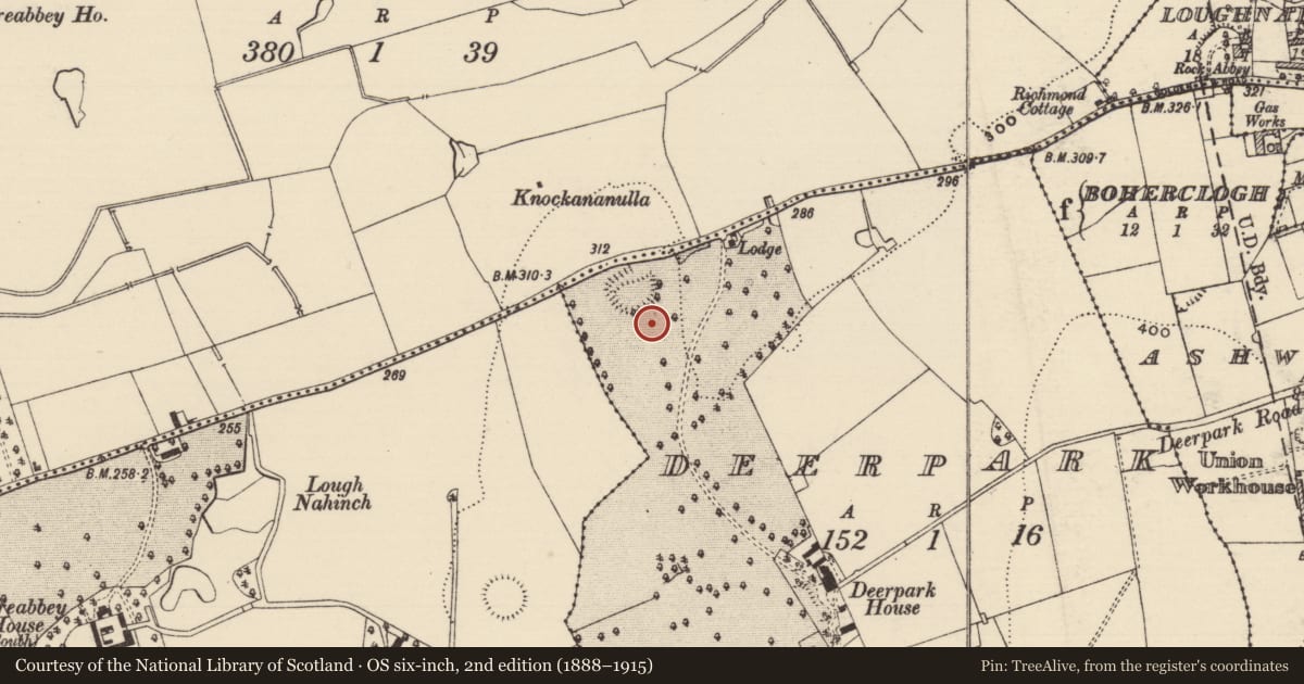 Ordnance Survey six-inch map, 2nd edition (1888–1915) covering the location of Enclosure, Deerpark (Horeabbey Par.), County Tipperary South, with a pin at the register's coordinates