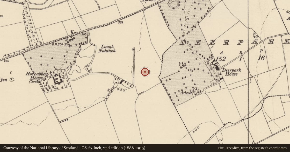 Ordnance Survey six-inch map, 2nd edition (1888–1915) covering the location of Ringfort - rath, Farranamanagh, County Tipperary South, with a pin at the register's coordinates