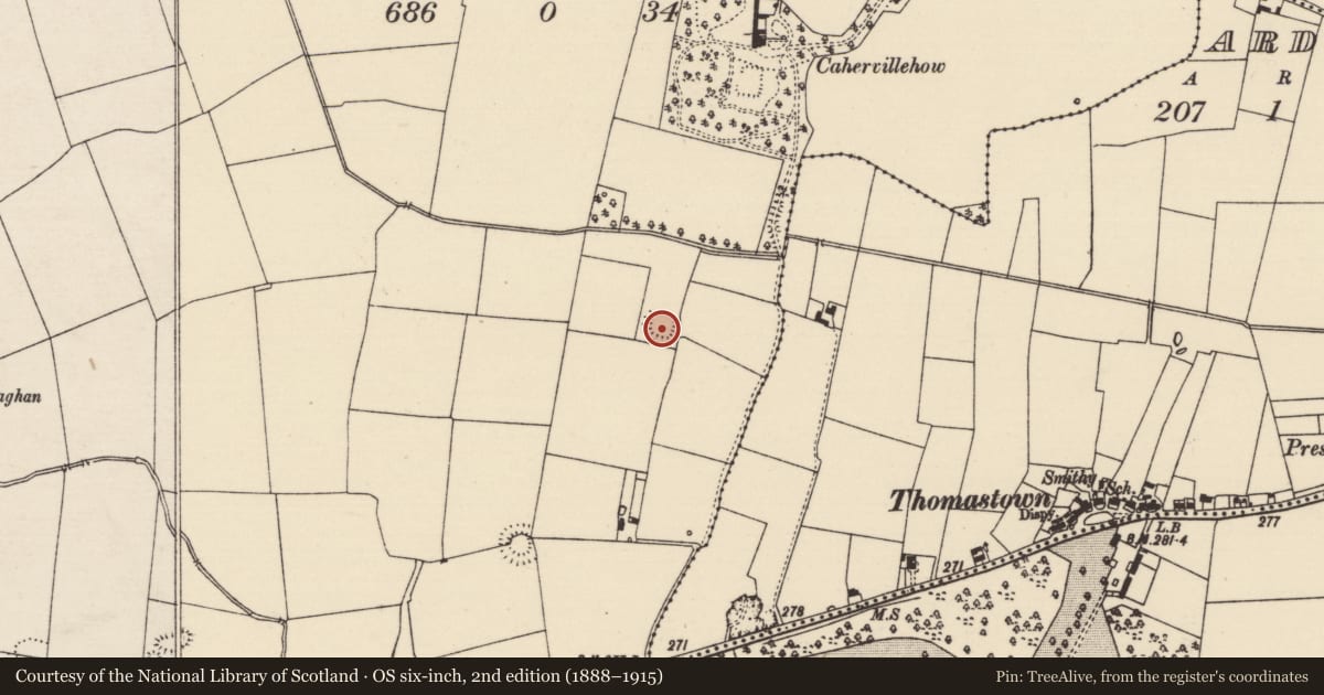 Ordnance Survey six-inch map, 2nd edition (1888–1915) covering the location of Enclosure, Cahervillahowe (Kilfeakle Par.), County Tipperary South, with a pin at the register's coordinates