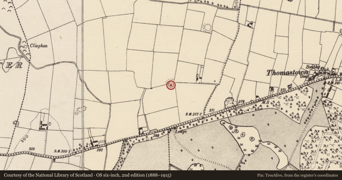 Ordnance Survey six-inch map, 2nd edition (1888–1915) covering the location of Ringfort - rath, Cahervillahowe (Kilfeakle Par.), County Tipperary South, with a pin at the register's coordinates