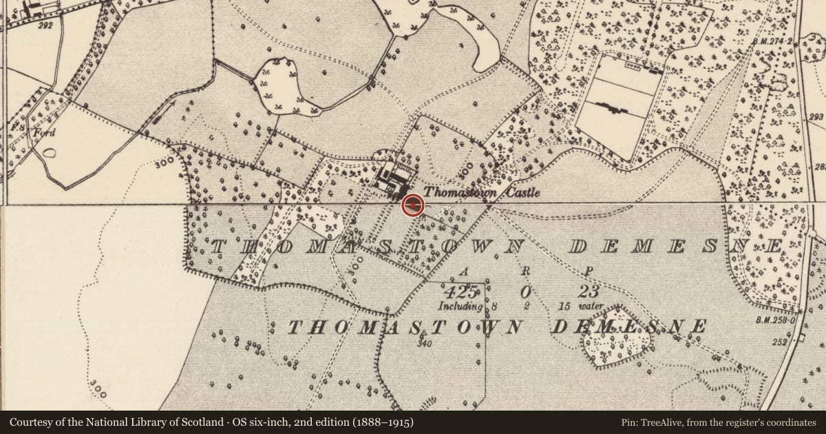 Ordnance Survey six-inch map, 2nd edition (1888–1915) covering the location of House - 17th century, Thomastown Demesne, County Tipperary South, with a pin at the register's coordinates