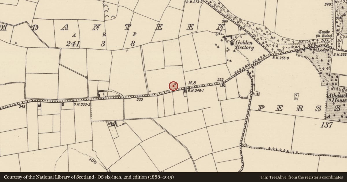 Ordnance Survey six-inch map, 2nd edition (1888–1915) covering the location of Mound, Moanteen, County Tipperary South, with a pin at the register's coordinates