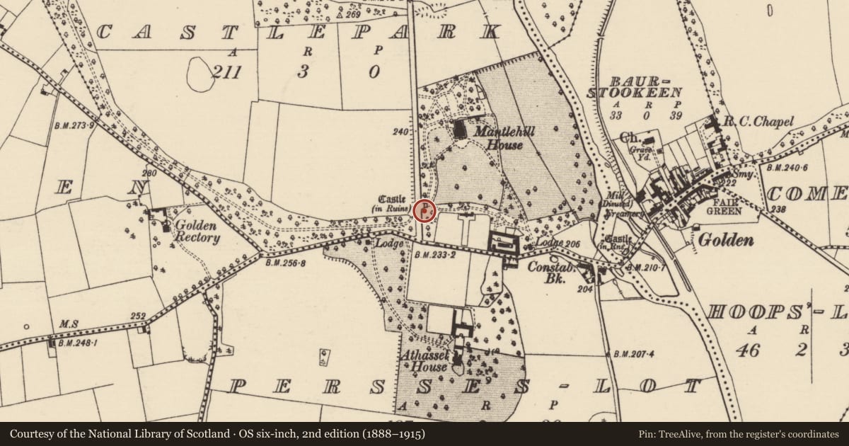Ordnance Survey six-inch map, 2nd edition (1888–1915) covering the location of Castle - tower house, Castlepark, County Tipperary South, with a pin at the register's coordinates