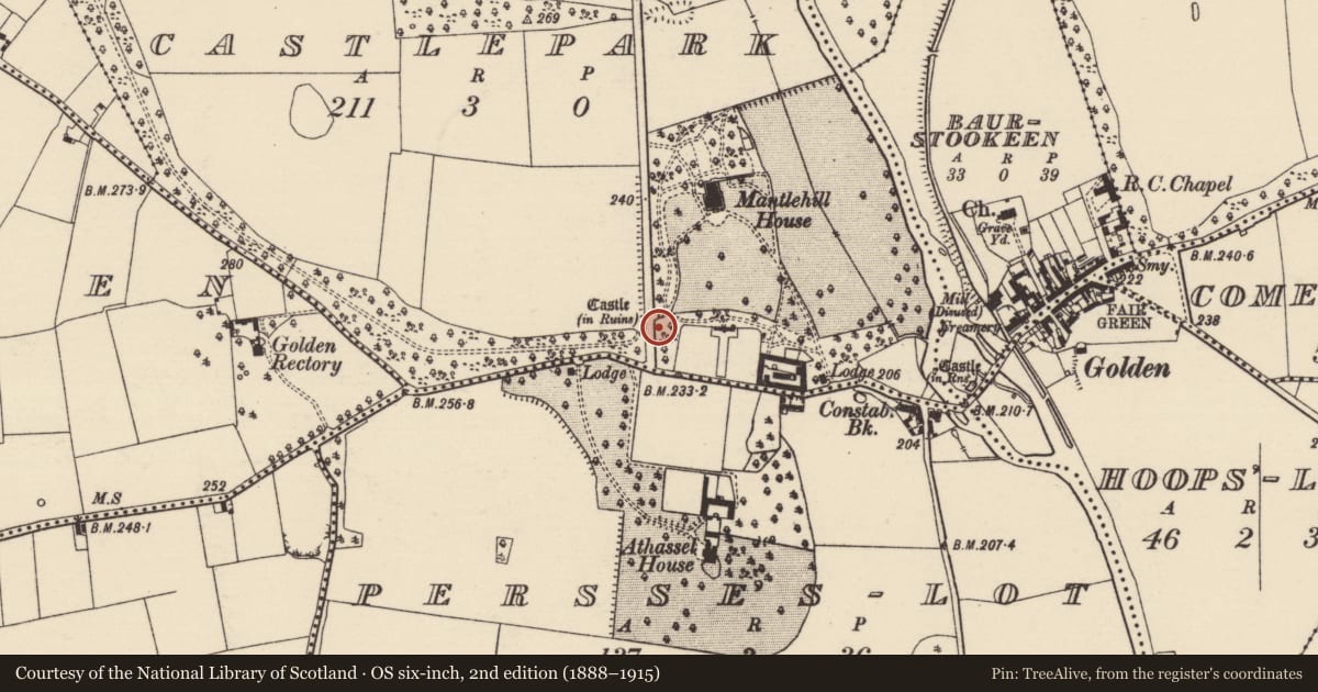 Ordnance Survey six-inch map, 2nd edition (1888–1915) covering the location of Bawn, Castlepark, County Tipperary South, with a pin at the register's coordinates