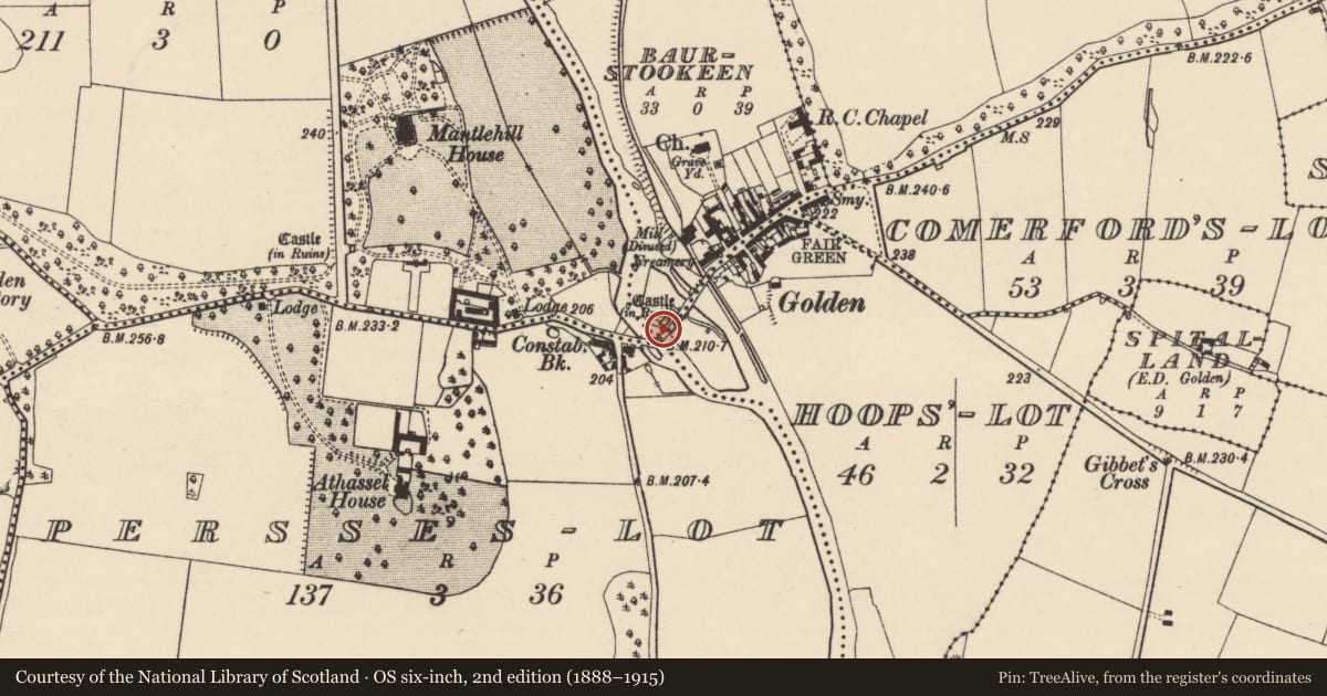Ordnance Survey six-inch map, 2nd edition (1888–1915) covering the location of Castle - tower house, Baurstookeen, County Tipperary South, with a pin at the register's coordinates
