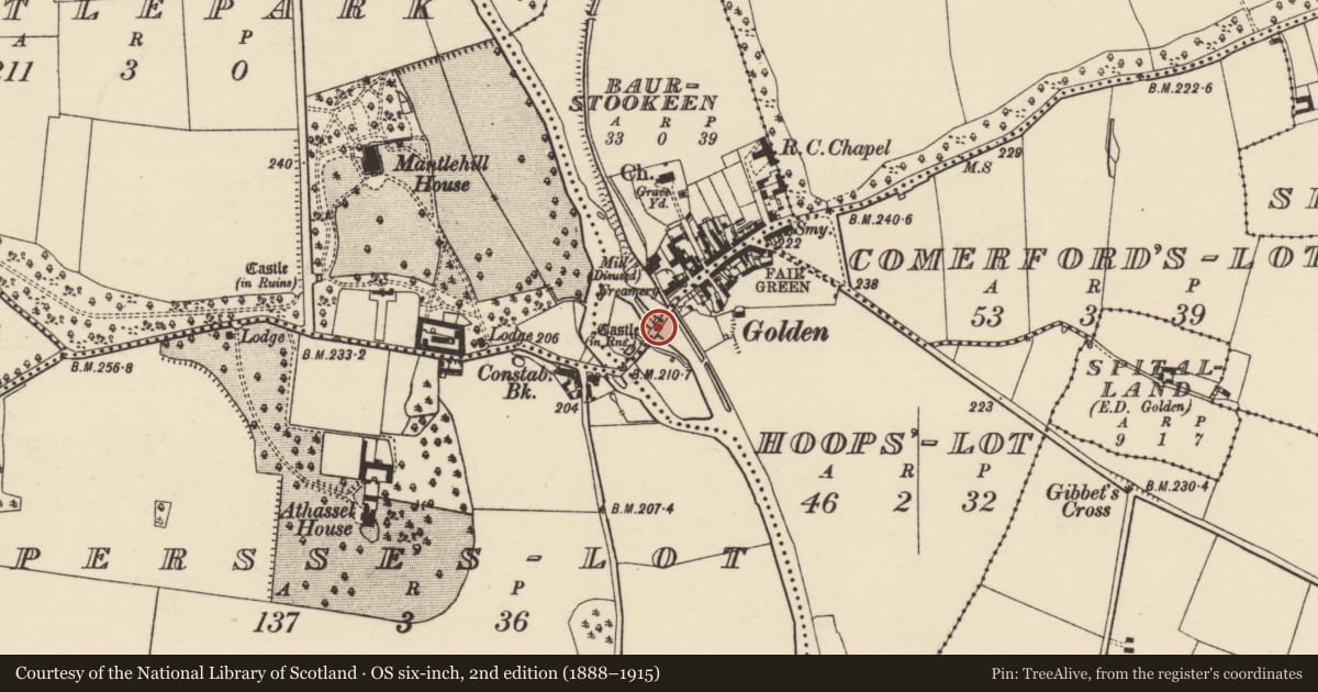 Ordnance Survey six-inch map, 2nd edition (1888–1915) covering the location of Bridge, County Tipperary South, with a pin at the register's coordinates