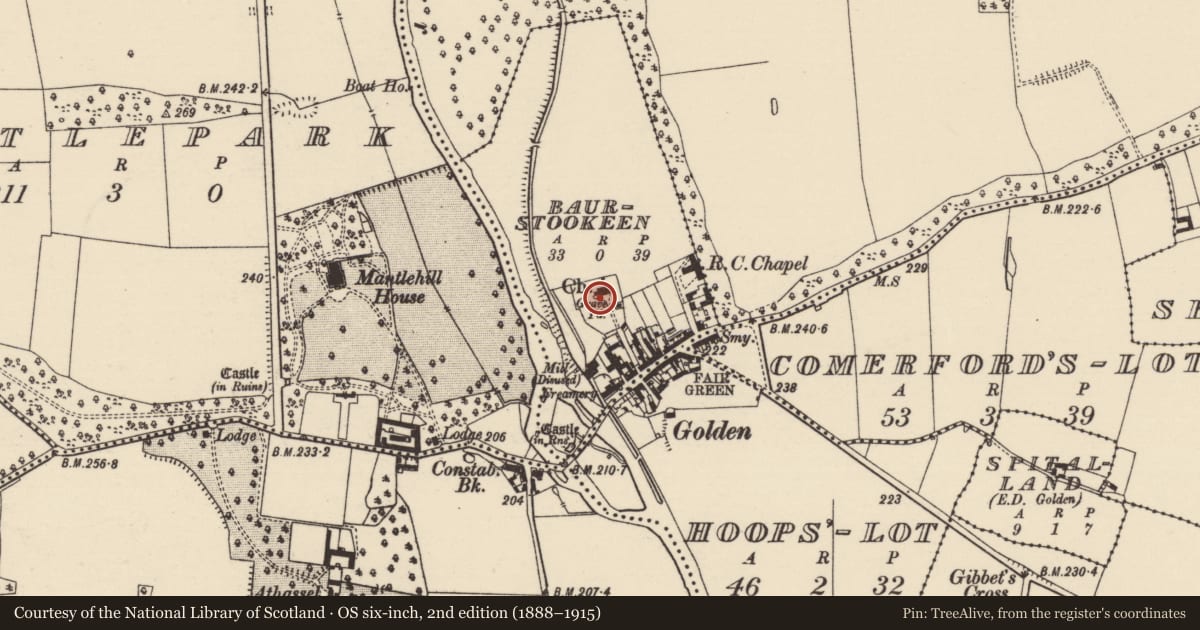 Ordnance Survey six-inch map, 2nd edition (1888–1915) covering the location of Church, Baurstookeen, County Tipperary South, with a pin at the register's coordinates