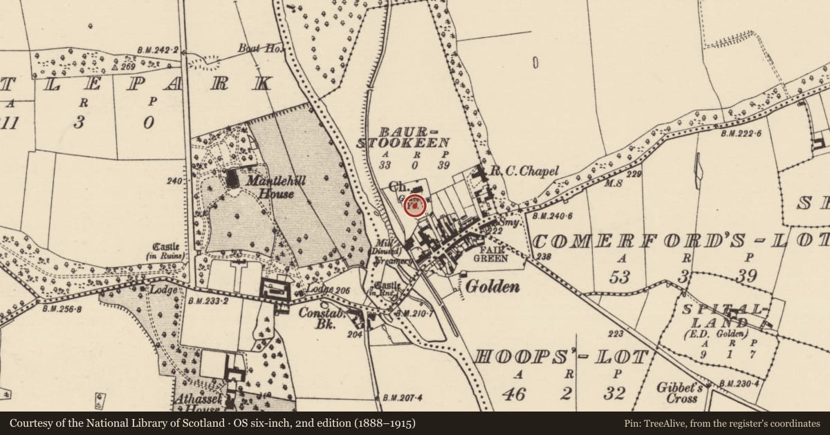 Ordnance Survey six-inch map, 2nd edition (1888–1915) covering the location of Graveyard, Baurstookeen, County Tipperary South, with a pin at the register's coordinates