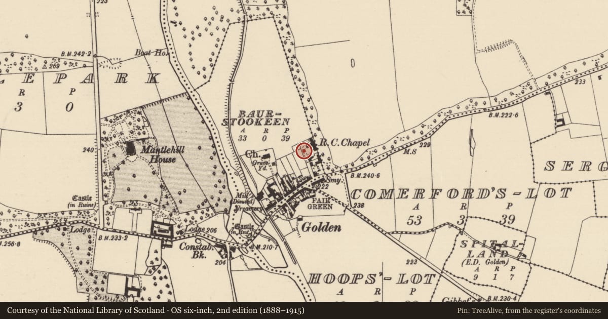 Ordnance Survey six-inch map, 2nd edition (1888–1915) covering the location of Architectural fragment, Baurstookeen, County Tipperary South, with a pin at the register's coordinates